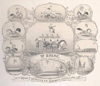 Howes & Co.: Mr. Hobbs American Equestrian