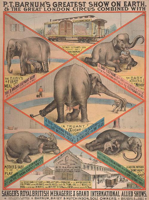 Barnum & London: Baby Elephants