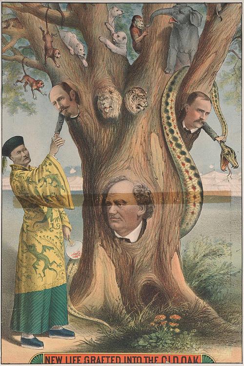 Barnum & London: New Life Grafted