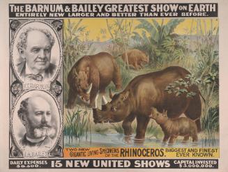 Barnum & Bailey: Two New Rhinoceros