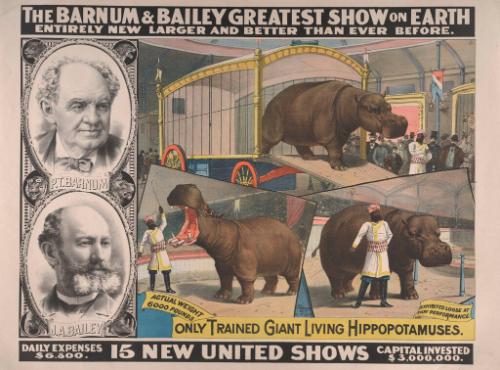 Barnum & Bailey: Only Trained Hippopotamuses
