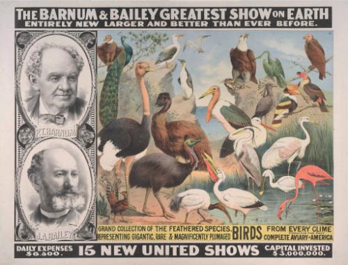 Barnum & Bailey: Grand Collection of Feathered Specimens