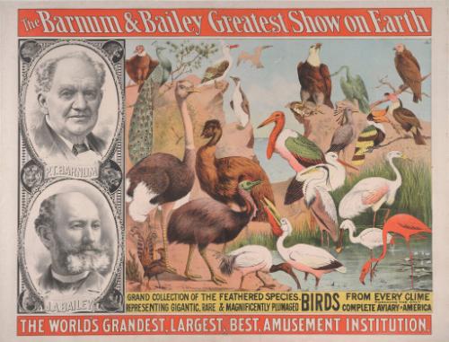 Barnum & Bailey: Grand Collection of Feathered Specimens