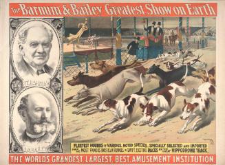 Barnum & Bailey: Fleetest Hounds of Various Noted Species