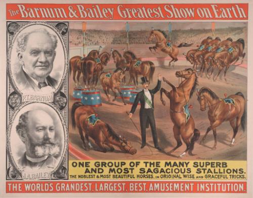 Barnum & Bailey: Sagacious Stallions