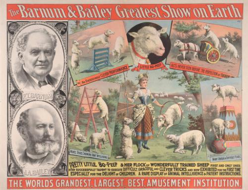 Barnum & Bailey: Pretty Little Bo-Peep and Her Flock of Sheep