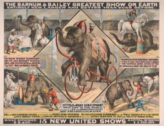 Barnum & Bailey: Dwarf Wooly Siam Elephant