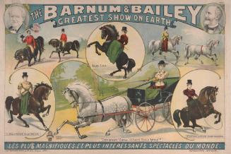 Barnum & Bailey: Evergreen Cheval de Haute