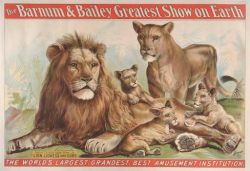 Barnum & Bailey: Artist Studies Taken From Life