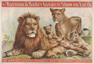 Barnum & Bailey: Artist Studies Taken From Life