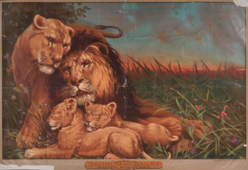 Barnum & Bailey: Lion Family, Compliments of Barnum & Bailey