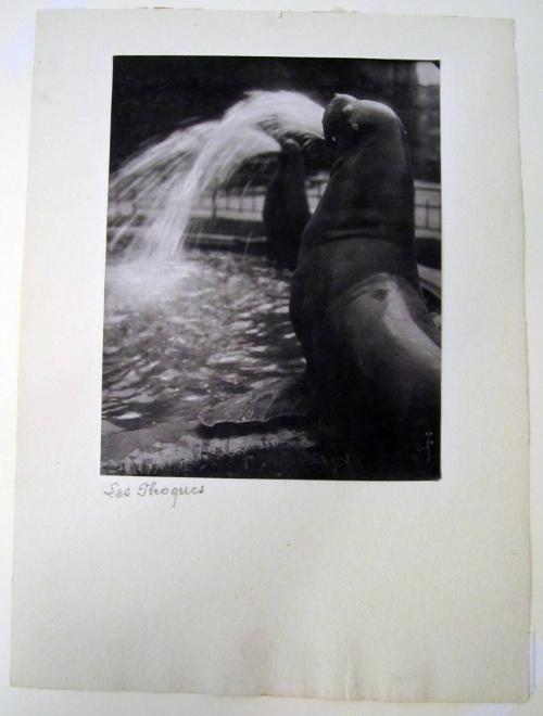Les Phoques (Fountain)