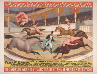 Barnum & Bailey: Peter W. Barlow Bareback Rider