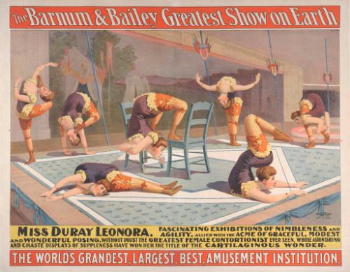 Barnum & Bailey: Miss Duray Leonora Contortionist