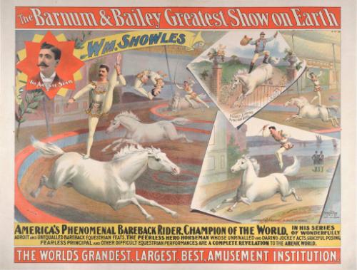 Barnum & Bailey: William Showles Bareback Rider