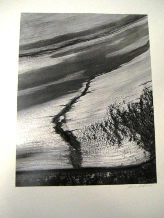 Bristlecone Pine # 15