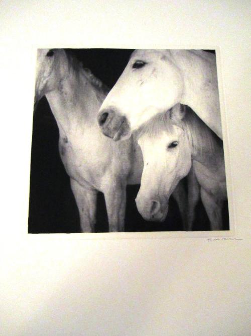Caballos Blancos