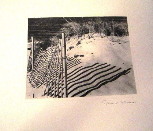 Dune Shadow