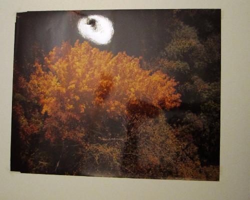 Autumn Scene