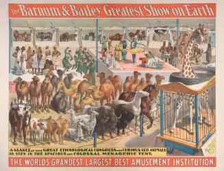 Barnum & Bailey: A Glance at the Great Ethnological Congress
