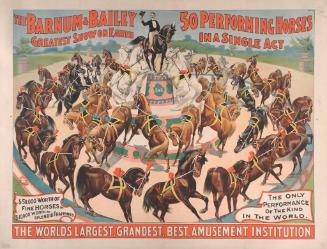 Barnum & Bailey: 50 Performing Horses in a Single Act