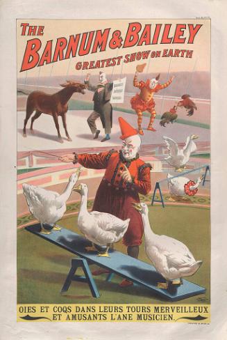 Barnum & Bailey: Oies et Coqs Dans Leurs Tours Merveilleux