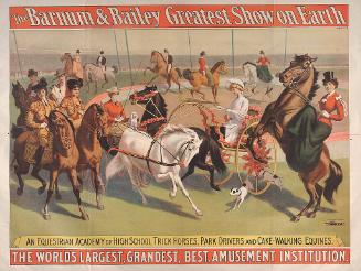 Barnum & Bailey: An Equestrian Academy of High School Trick Horses