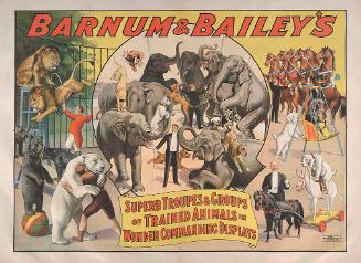 Barnum & Bailey: Superb Troupes and Groups of Trained Animals