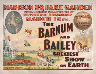 Barnum & Bailey: Madison Square Garden 3-19-1908