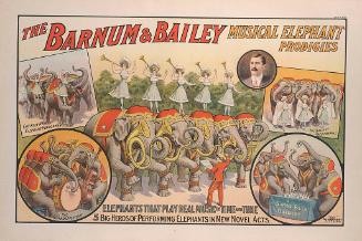 Barnum & Bailey: Musical Elephant Prodigies