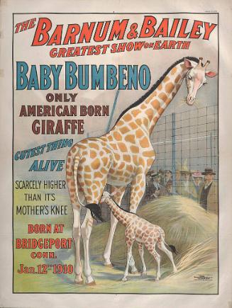 Barnum & Bailey: Baby Bumbeno