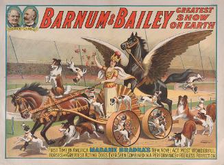 Barnum & Bailey: Madame Bradna's Horses and Dogs