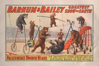 Barnum & Bailey: Pallenberg's Wonder Bears