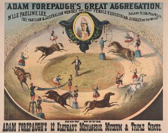 Adam Forepaugh: Mademoiselle Pauline Lee