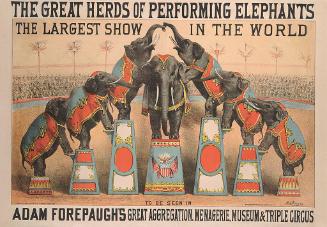 Adam Forepaugh: Great Herds of Performing Elephants
