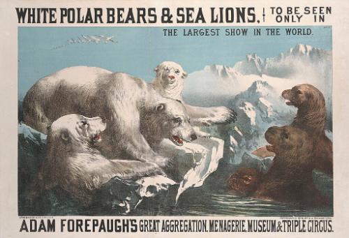 Adam Forepaugh: White Polar Bears And Sea Lions