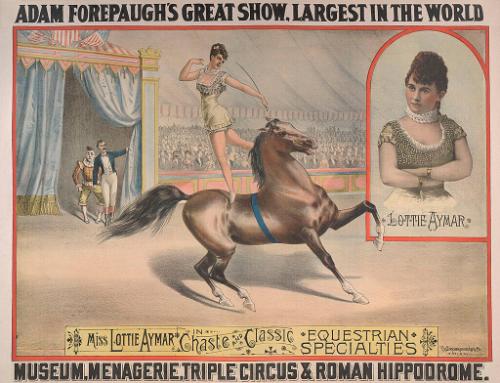 Adam Forepaugh: Miss Lottie Aymar Equestrian