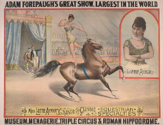 Adam Forepaugh: Miss Lottie Aymar Equestrian