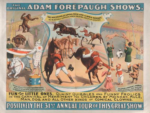 Adam Forepaugh: Fun For The Little Ones