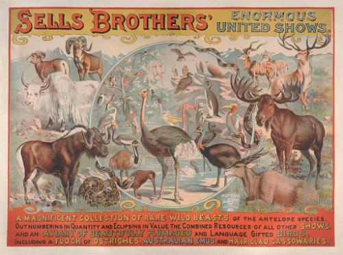 Sells Bros. Enormous United Shows: A Magnificent Collection of Rare Wild Beasts