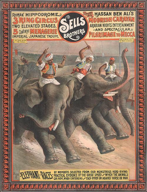 Sells Bros. & Hassan Ben Ali's Moorish Caravan: Elephant Races