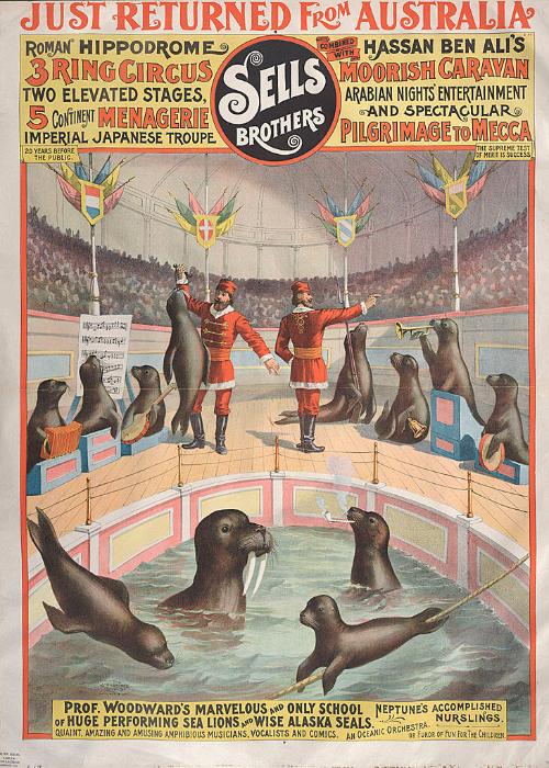 Sells Bros. & Hassan Ben Ali's Moorish Caravan: Professor Woodward's Sea Lions and Alaska Seals