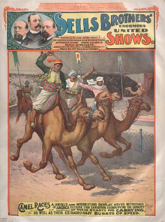 Sells Bros. Enormous United Shows: Camel Races