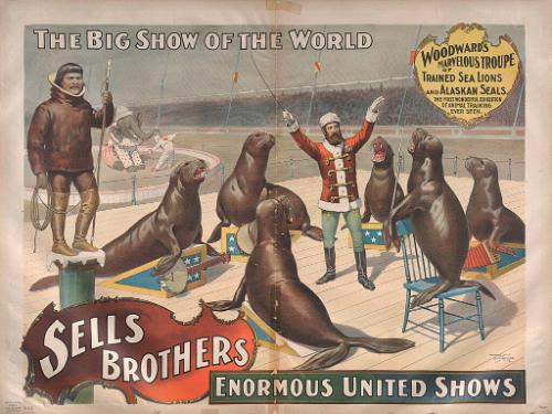 Sells Bros. Big Show Of The World: Woodward's Sea Lions and Alaskan Seals