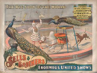 Sells Bros. Big Show Of The World: Sacred Zebu And Riding Peacock