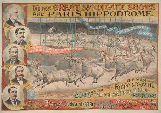 New Great Syndicate Shows And Paris Hippodrome: 29 Head Of Matchless Thoroughbred Horses