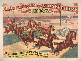 Forepaugh-Sells Enormous Shows Combined: 5 Horse Tandem Race