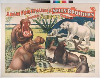 Forepaugh-Sells Enormous Shows Combined: Tropical And Arctic Amphibious Wonders