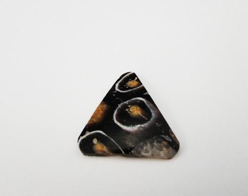Ancient Glass Fragment