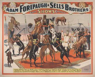 Forepaugh-Sells Great Shows Combined: Colonel Magnus Schult's Great Danes
